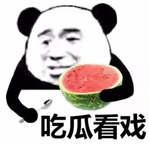 吃瓜表情高情商回复句子,轻松应对社交场合